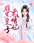 腹黑皇子柔情妃