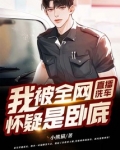 直播洗车：我被全网怀疑是卧底