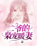 二爷的枭宠暖妻电视剧演员表