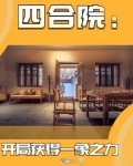 四合院：开局获得一象之力