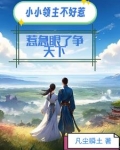 小小领主不好惹！惹急眼了争天下