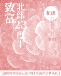 致富北纬23度半 花潘