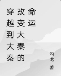 穿越到大秦小说