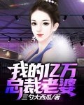 我的亿万总裁老婆电视剧