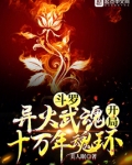 斗罗:异火武魂,开局十万年魂环免费阅读
