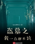 盗墓之我一点都不坑 哒哒嘟嘟