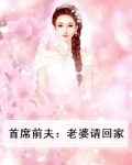 首席的前妻老婆再爱我一次