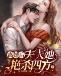 离婚后，夫人她艳杀四方