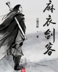 麻衣剑客TXT免费下载