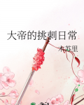 大帝的挑刺日常谁是受