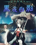 怪盗基德与黑夜白影