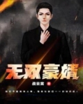 无双豪婿 小说