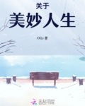 关于美妙人生小说