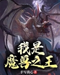 我是魔兽之王小说