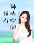 我有种植空间