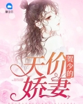 贺少的闪婚全文免费阅读