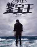 少年鉴宝小说