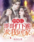替嫁后哥哥们下跪求我回家免费阅读小说