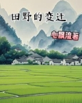 田地的变化