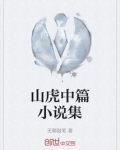 中国中篇小说集