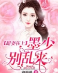 甜妻在上墨少别乱来笔趣阁