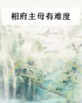 相府主母不好当