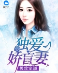 极致宠溺:独爱娇盲妻