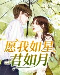 愿我如星君如月的意思