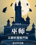 巫师：从解析面板开始