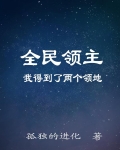 全民领主：我得到了两个领地