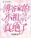 林书书傅爷家的小祖宗真绝了