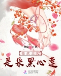 摄政王妃是朵黑心莲