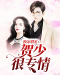 独家替身,贺少心上纵火
