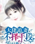 大佬追妻不择手段网盘