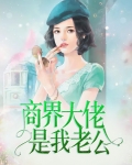 我的老公是商界大佬 百度网盘