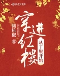 我靠红楼在现代发家致富