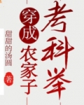 穿成农家子考科举小说