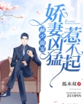 赫少溺宠：娇妻凶猛，惹不起！