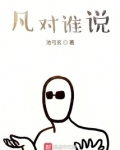 谁说的对
