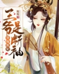 替嫁狐妃：王爷是断袖