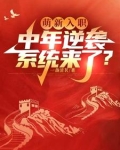 萌新入职，中年逆袭系统来了？
