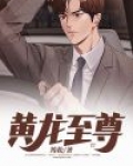 黄龙至尊巡航600摩托