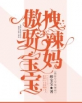 傲娇宝贝很抢手免费阅读