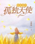 我和我的孤独天使小说