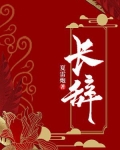 长辞笙是什么意思