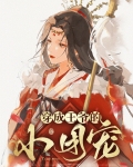 穿成王爷的小妾小说