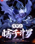 斗罗之瞎子斗罗无错字