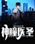 神瞳医圣