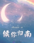 南归候鸟