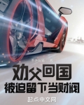 劝父回国,被迫留下当财阀洪都